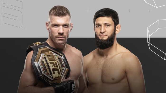 UFC 319
