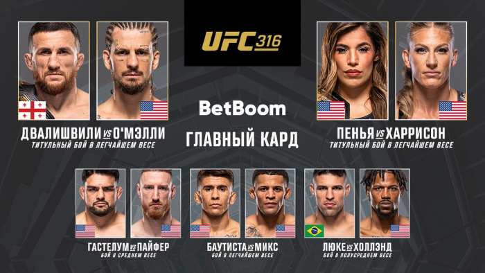 UFC 316 прямая трансляция онлайн
